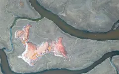 Опубликована дорожная карта первой пилотируемой миссии на Марс