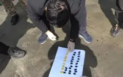 Более тонны наркотических веществ изъято в Туркестанской области