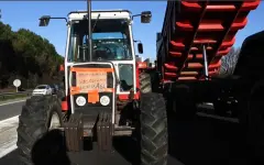 Фермеры Франции вышли на протесты