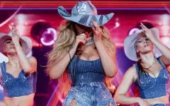 Назван самый прибыльный концерт 2025 года