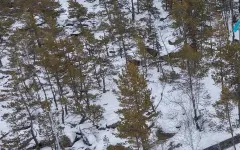 Ушел к колодцу и пропал: мужчину нашли в 30 км от дома