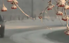 Снег, ветер, метель: штормовое предупреждение объявлено в РК