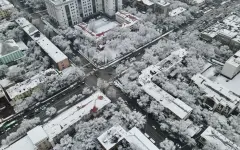 Снег, гололед и ветер: синоптики рассказали о погоде на 17 декабря