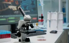 Ученые выяснили, как сточные воды могут повлиять на здоровье