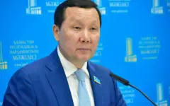 «Это, по сути, пытка»: депутат требует прекратить использование наручников при родах