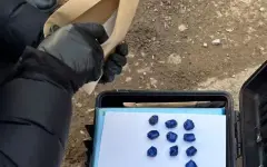 Мужчину с партией «волшебных грибов» задержали в  Костанае