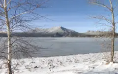 Участки на 2,2 млрд тенге возвращены государству