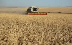 Итоги года: рост казахстанского агросектора составил 6,1%