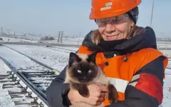 История со счастливым концом: в Шахтинске спасли хвостатую альпинистку