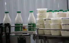 На конвейере – айран и творожный десерт