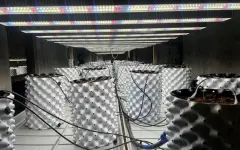 Фитолабораторию ликвидировали в Акмолинской области