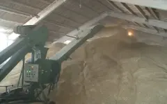 Аграриев Костанайской области поддержат субсидиями