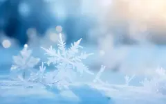 30-градусные морозы прогнозируют синоптики