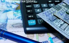 Хищение в частных школах и нецелевое использование в АПК: озвучены предварительные итоги аудита