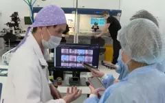 Количество квот на ЭКО увеличили в Костанайской области