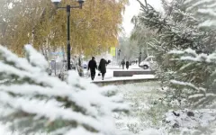 Неустойчивая погода ожидается на большей части Казахстана