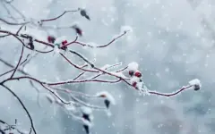 Штормовое предупреждение объявили в 10 регионах страны