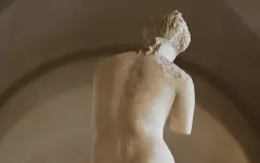 Ученые подтвердили происхождение распространенной венерической болезни