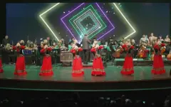 Казахстанские артисты выступили в Индии