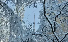 Снег и низовая метель: синоптики рассказали о погоде на 25 января