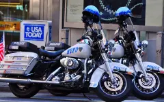 В банк Нью-Йорка ворвался олень и устроил переполох