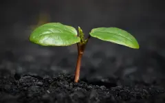 Как зародилась жизнь на Земле: ученые впервые приблизились к разгадке