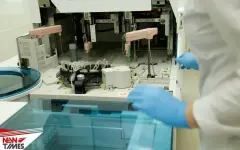 Вспышку смертельного вируса зафиксировали в Индии