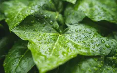 «Невидимый химический дождь» из вечных загрязнителей выпадет на Землю