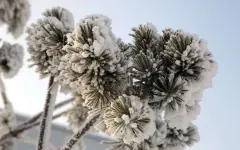 Сильные снегопады и морозы надвигаются на Казахстан