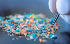 Метод очистки воды от микропластика изобрели ученые Бразилии