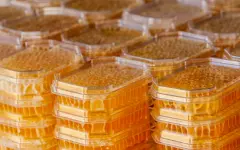 Мед со вкусом шоколада создали в Бразилии