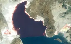 Ученые нашли необычных существ там, где это невозможно