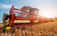 В России предприятия АПК обязали перейти на отечественный софт