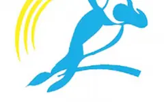 Серебряный шар – у Кошкина