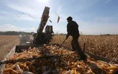 МСХ изменило правила субсидирования займов субъектов АПК