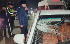 Полураздетый мужчина попал под машину в Алматы