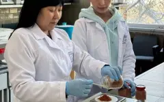 Казахстанские ученые разрабатывают БАД для профилактики онкозаболеваний