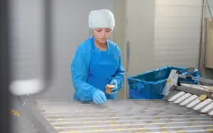 Департамент госдоходов Алматы обратился к наемным работникам и работодателям