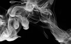 Нелегальный сбыт вейпов пресекли в Шымкенте: изъято 332 устройства