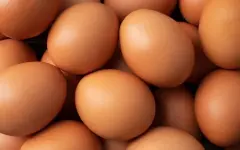 Яичный дефицит в Германии: к Пасхе ситуация может ухудшиться