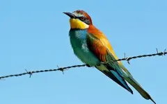 День крайностей и сильных чувств: гороскоп на 22 марта