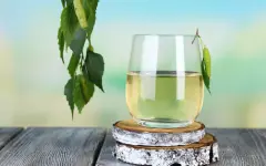 Кому не стоит пить березовый сок — аллерголог