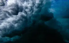 На дне Тихого океана засняли то, к чему ученые не были готовы