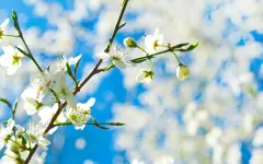 Что категорически нельзя делать, а что принесет удачу 23 марта