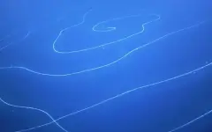 15-метровое существо на глубине 6000 метров удивило ученых