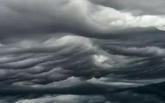 Без осадков, но с туманом: опубликован прогноз погоды на 25 марта