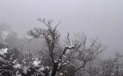 Какая погода ждет казахстанцев 24 марта