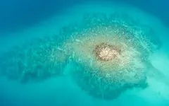 На глубине 5112 метров в море нашли объекты, которые не должны быть там