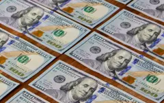 Девочка выбросила в окно 88 тысяч долларов после ссоры с мамой