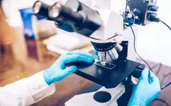 Инновации становятся стратегическим приоритетом Казахстана